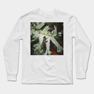 Spiky fern Long Sleeve T-Shirt
